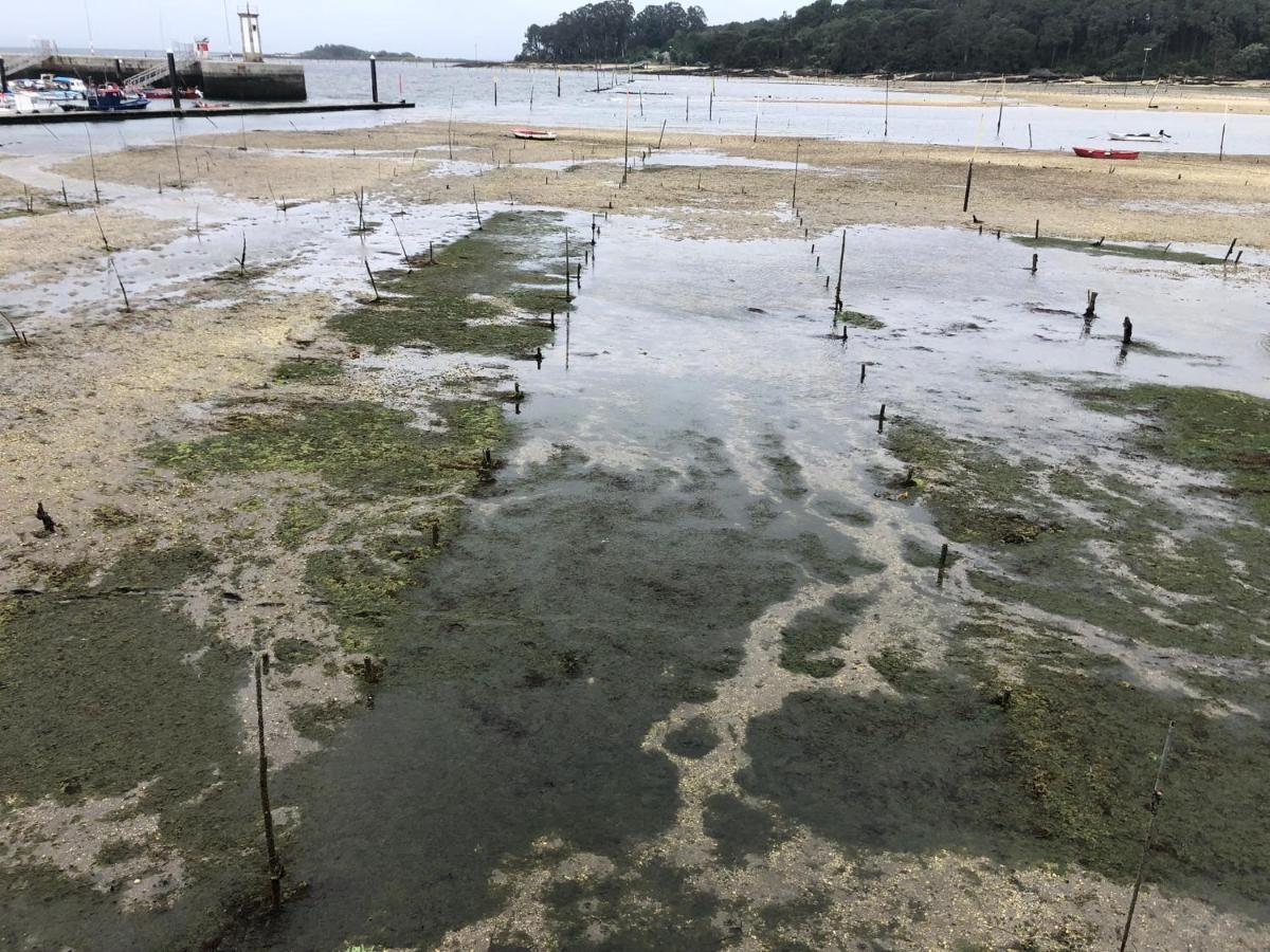 Alojamientos Rias Baixas- Casa Castillejos- Carril Vilagarcia de Arousa Exterior foto